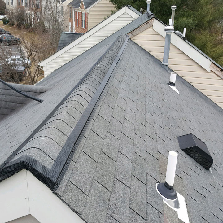 damage-repair-proofing Repair Damage from Bats